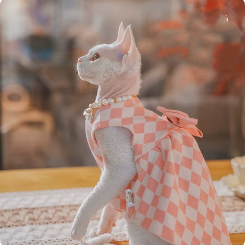 Checkered kitten dress — inspected supplier photo