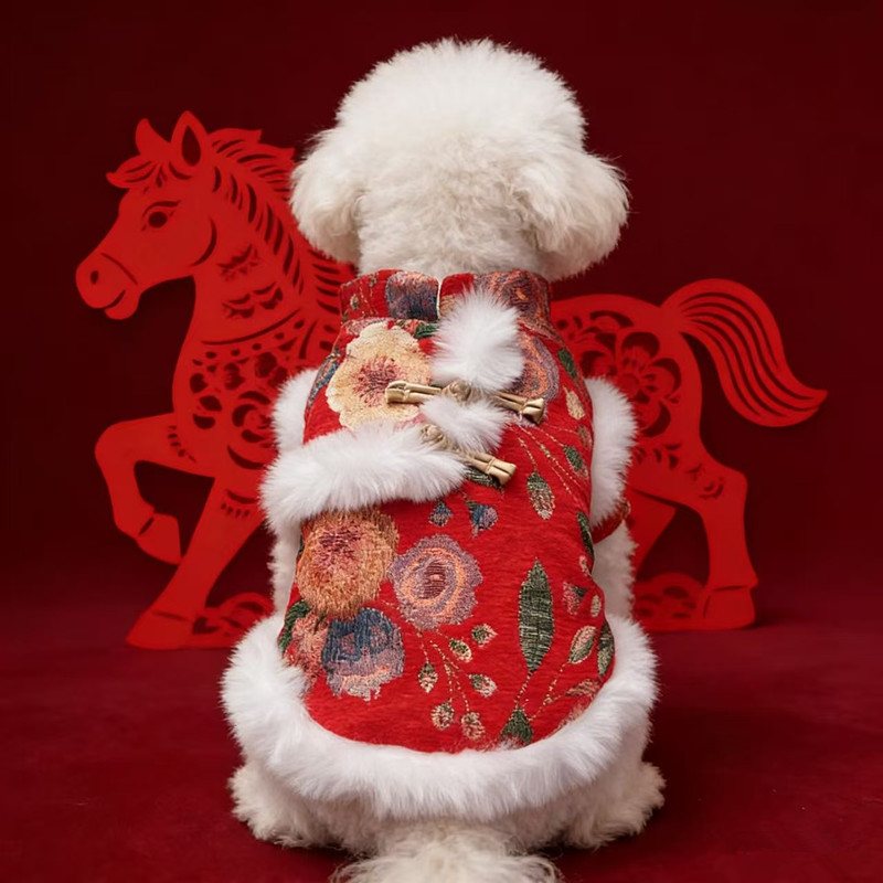 New-year pet outfit — inspected supplier photo