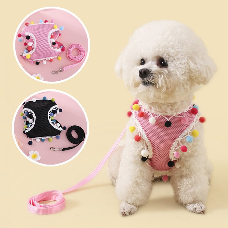 Pom-pom harness and leash — inspected supplier photo